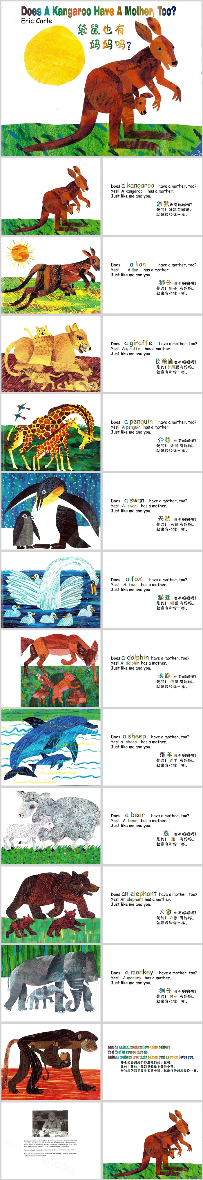 经典幼儿园中班《袋鼠也有妈妈Does A Kangaroo Have A Mother》中英文双解绘本故事PPT课件