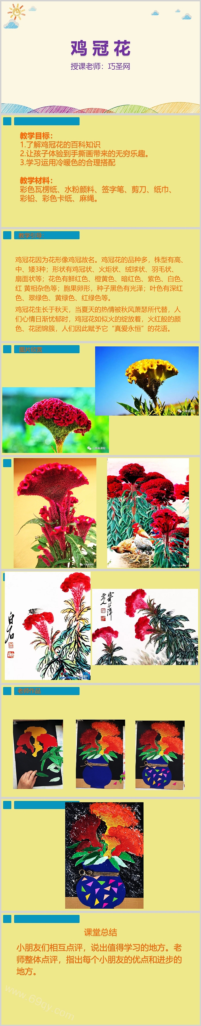 创意精美鸡冠花美术课件PPT模板