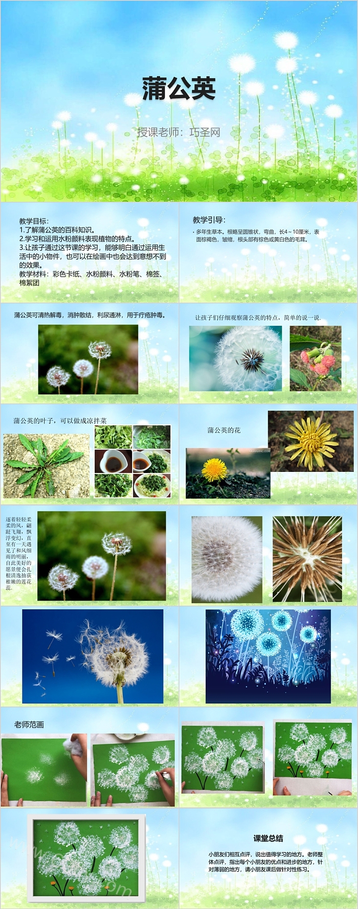 夏日清新蒲公英主题美术课件PPT