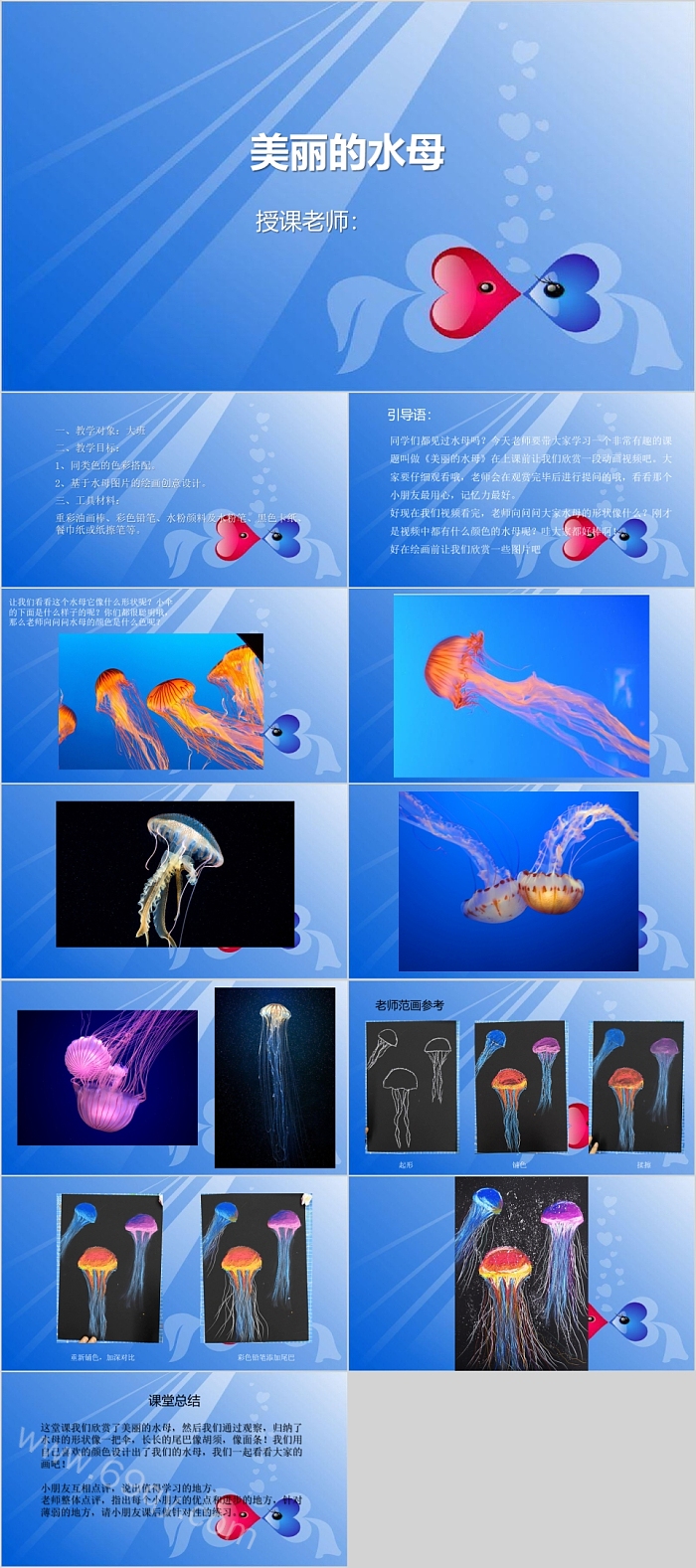 美丽的水母美术课件PPT模板