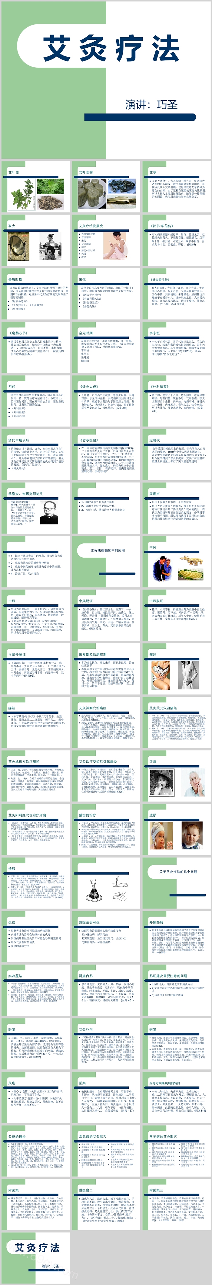简单精美艾灸疗法ppt模板