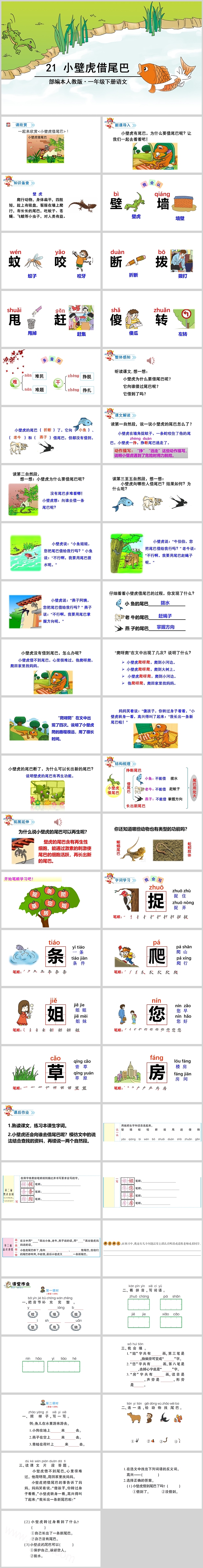 完整版卡通幼儿园儿童教学用《小壁虎结尾吧》绘本故事PPT课件