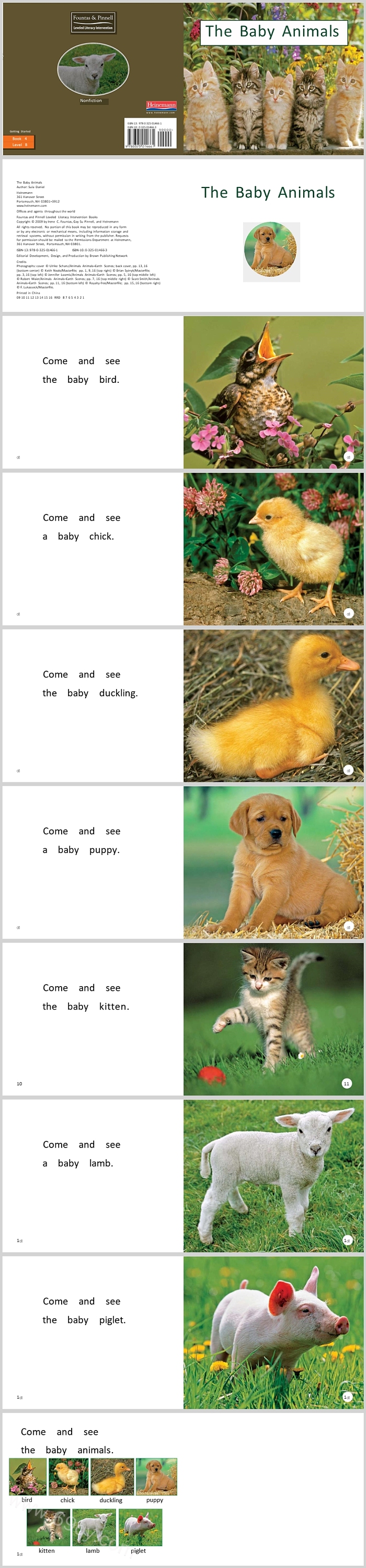 卡通海尼曼英语关于小动物宝宝《The Baby Animals》英文绘本故事PPT课件