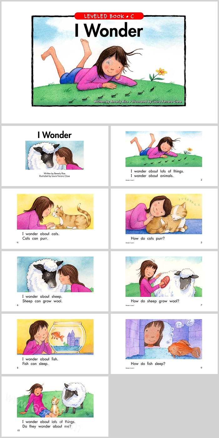 我想知道《I Wonder》英文绘本故事PPT课件