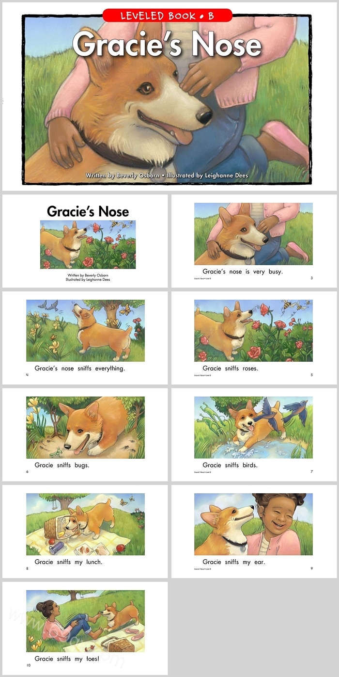 卡通《Gracie's Nose》格雷西的鼻子英文绘本故事PPT课件