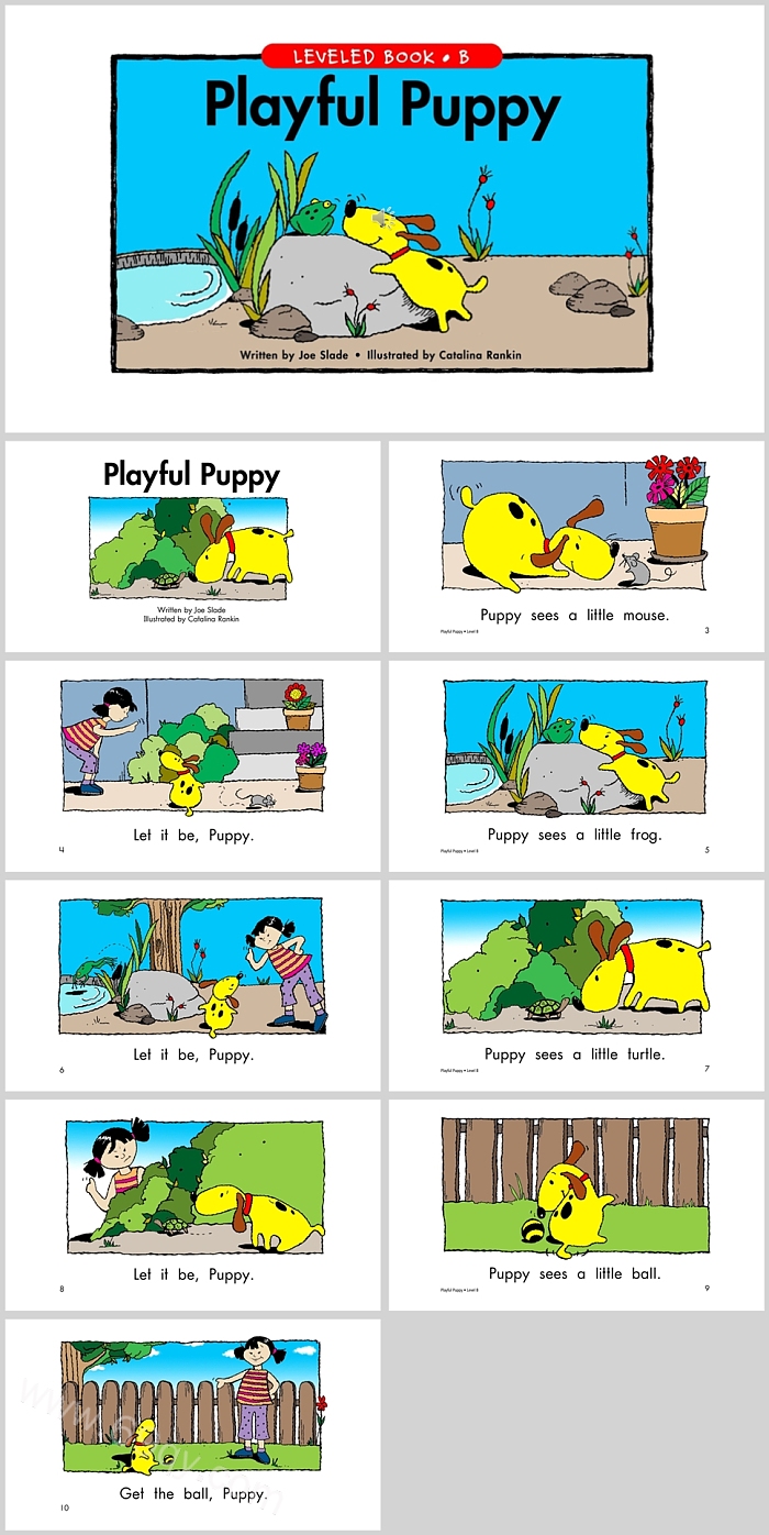 顽皮的小狗Playful Puppy英文绘本故事PPT课件