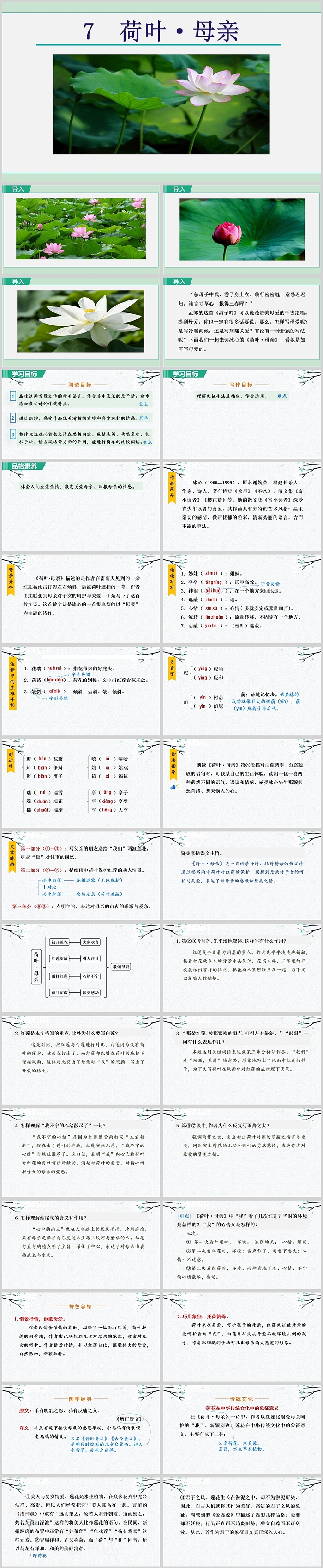 精美七年级语文荷叶母亲语文课件PPT