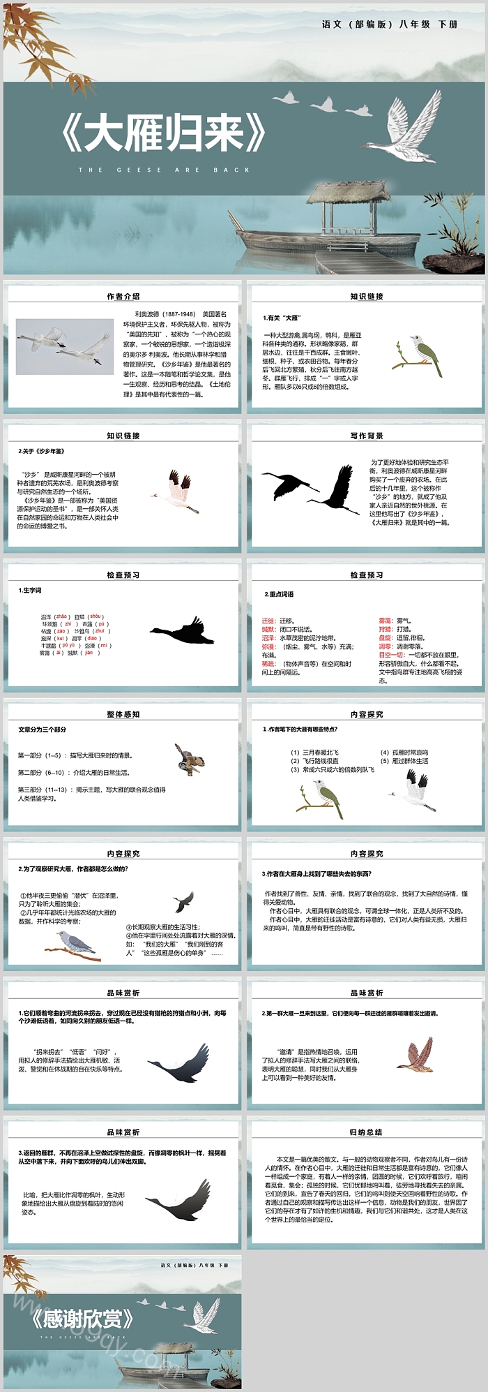 部编版八年级语文大雁归来PPT课件