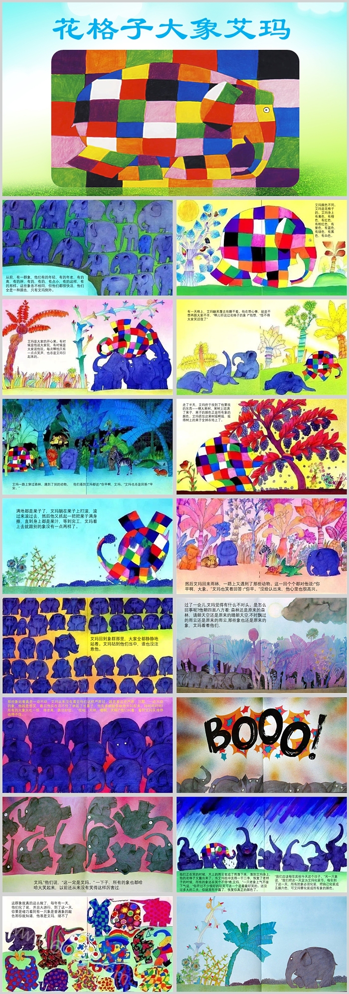 幼儿园大班中班语言《花格子大象艾玛》绘本故事PPT课件