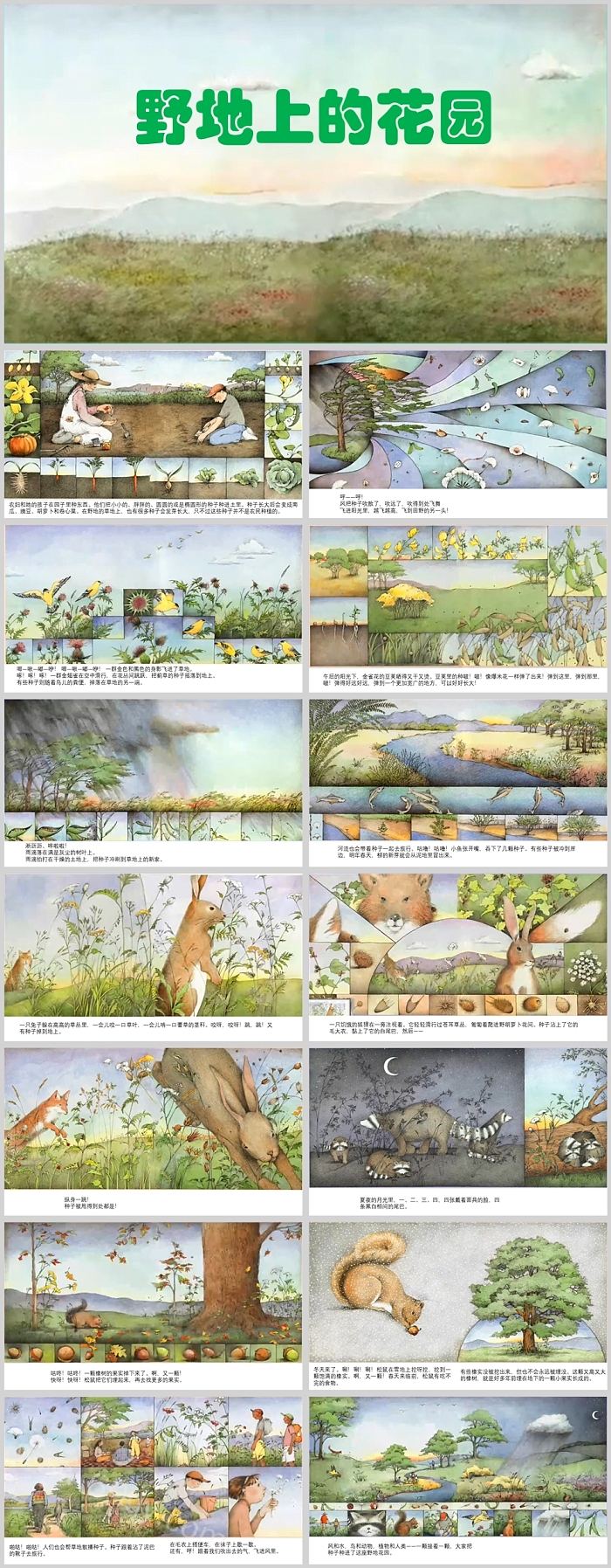 卡通优质幼儿园大班语言公开课《野地上的花园》绘本故事PPT课件