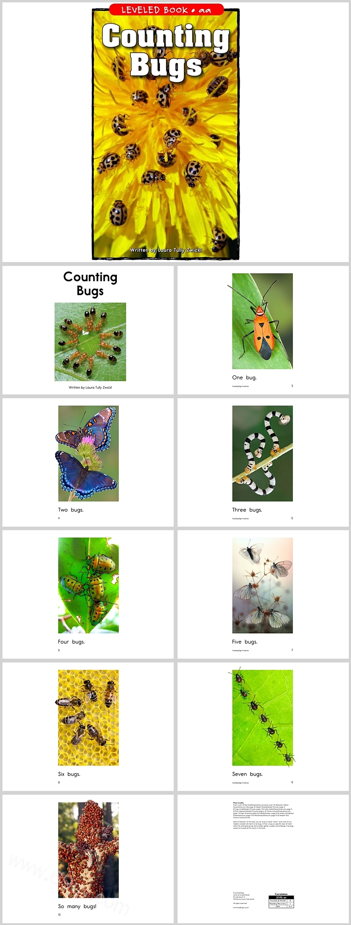 精美小学《CountingBugs》计算错误英文绘本故事PPT课件