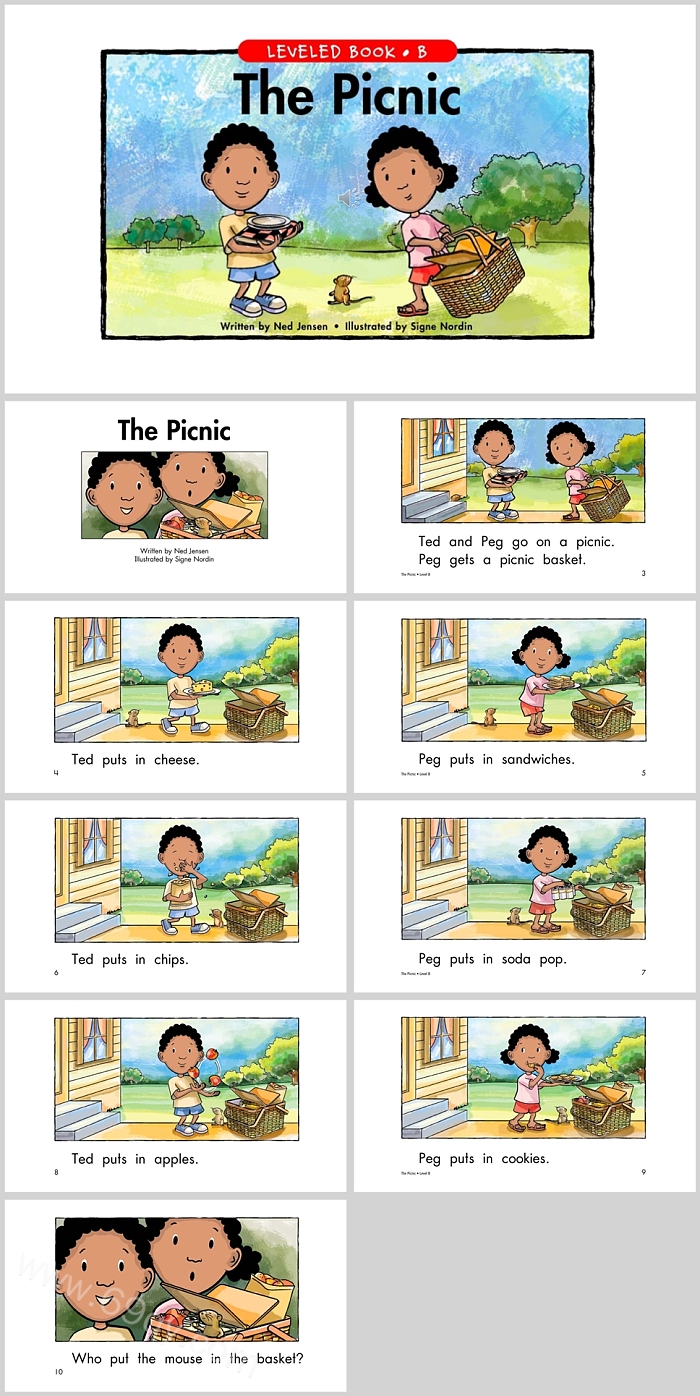 精美小学《The Picnic》野餐英文绘本故事PPT课件
