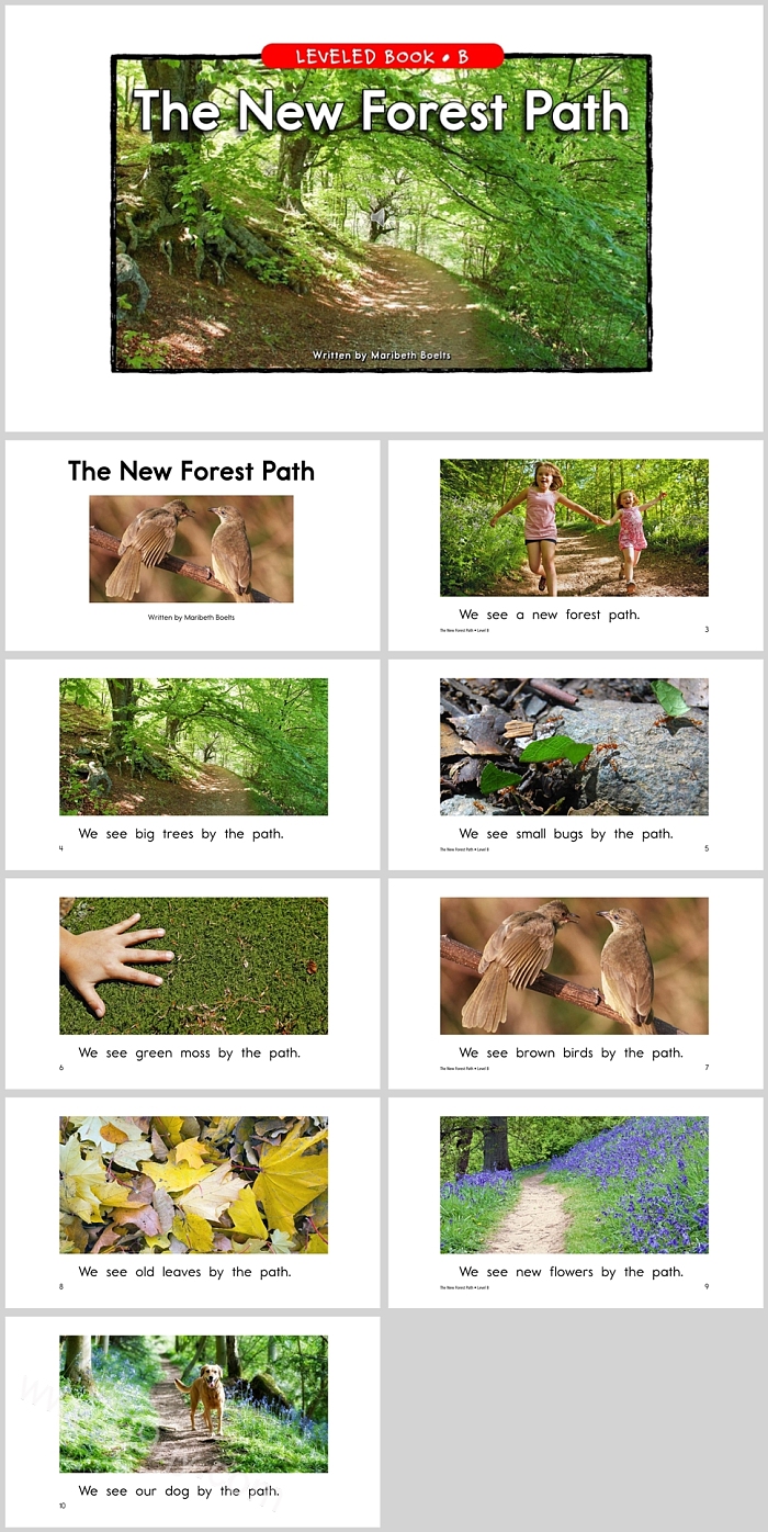 小猪佩奇《The New Forest Path》森林小路英文绘本故事PPT课件