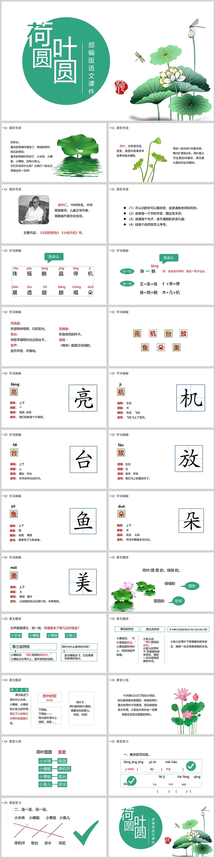 部编版小学荷叶圆圆二年级语文PPT课件