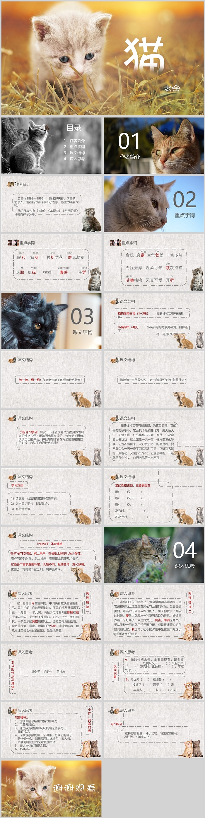 部编版七年级语文上册猫语文PPT课件
