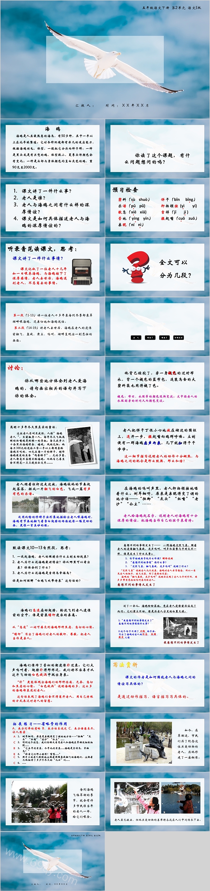简单实用五年级语文下册海鸥PPT课件