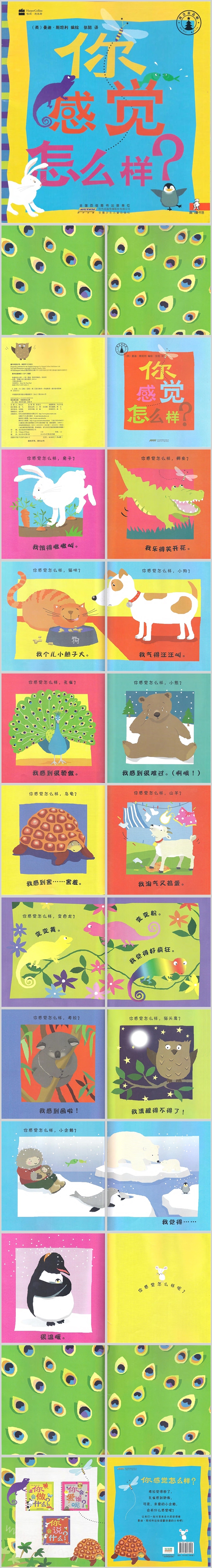 幼儿园儿童情绪《我会表达啦你感觉怎么样》教育绘本故事PPT课件