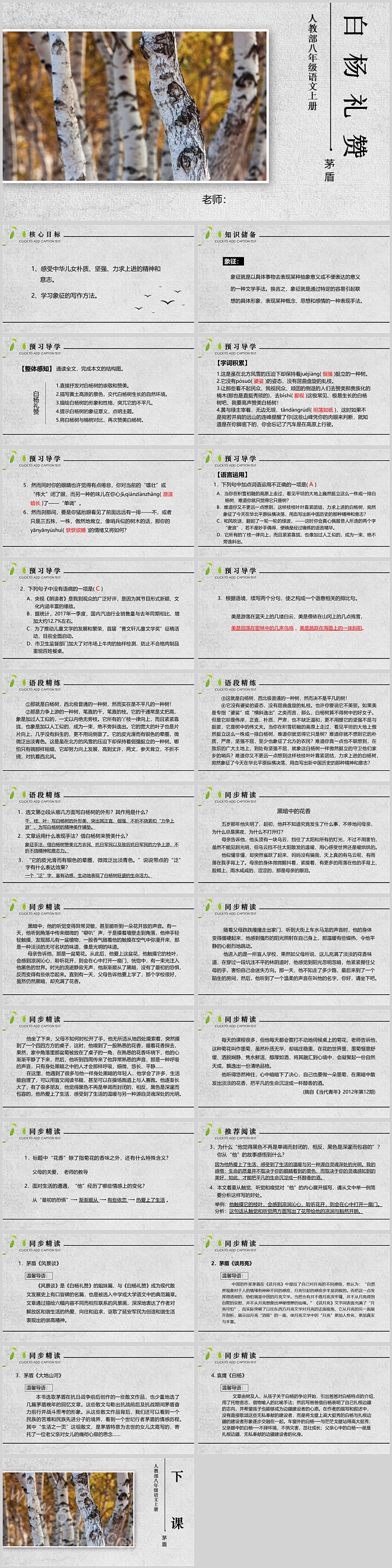 人教部八年级语文上册白杨礼赞PPT课件
