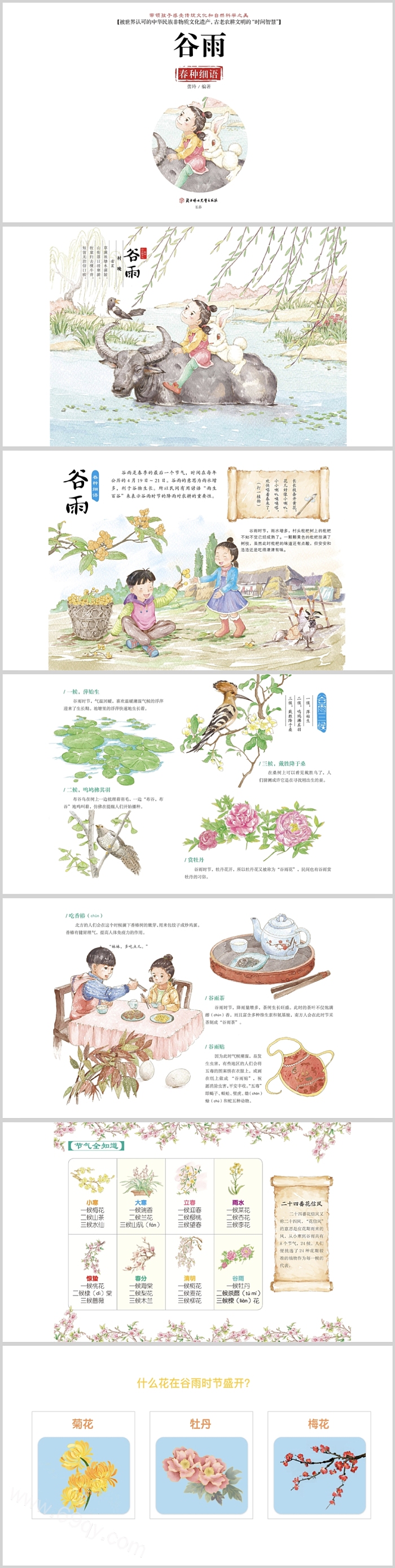 精美卡通幼儿园中国传统节气二十四节气之《谷雨》绘本故事ppt课件