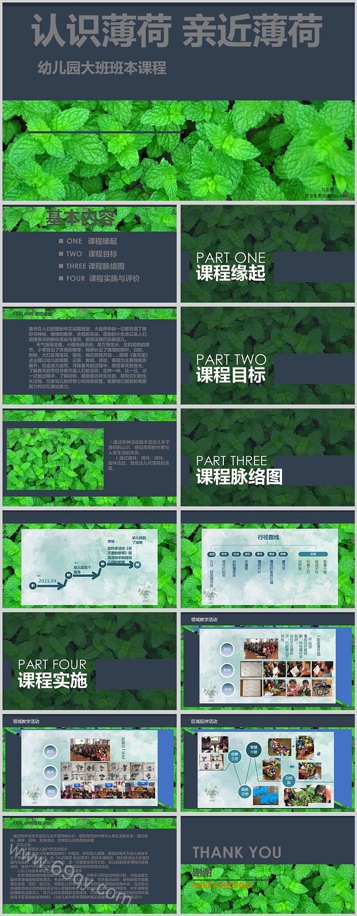 幼儿园大班班本课程《认识薄荷 亲近薄荷》15页ppt课件（公开课）