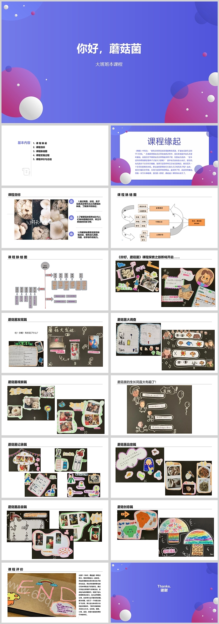 幼儿园大班班本课程《你好，蘑菇菌》17页ppt课件（科学活动）