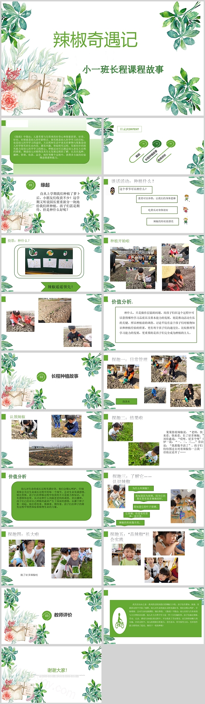 幼儿园小班班本课程《辣椒奇遇记》20页ppt课件（小班课程故事）