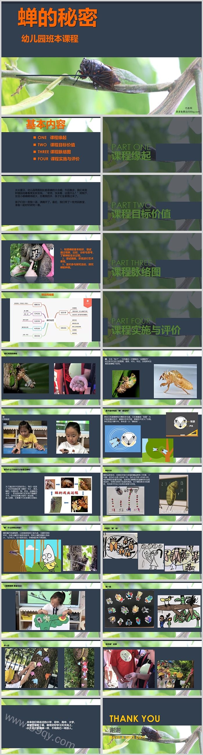 幼儿园大班班本课程《蝉的秘密》23页ppt课件（公开课）