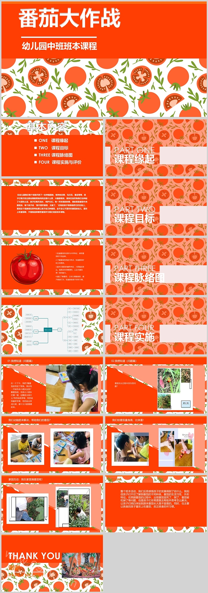 幼儿园中班班本课程《番茄大作战》16页ppt课件（教学活动）