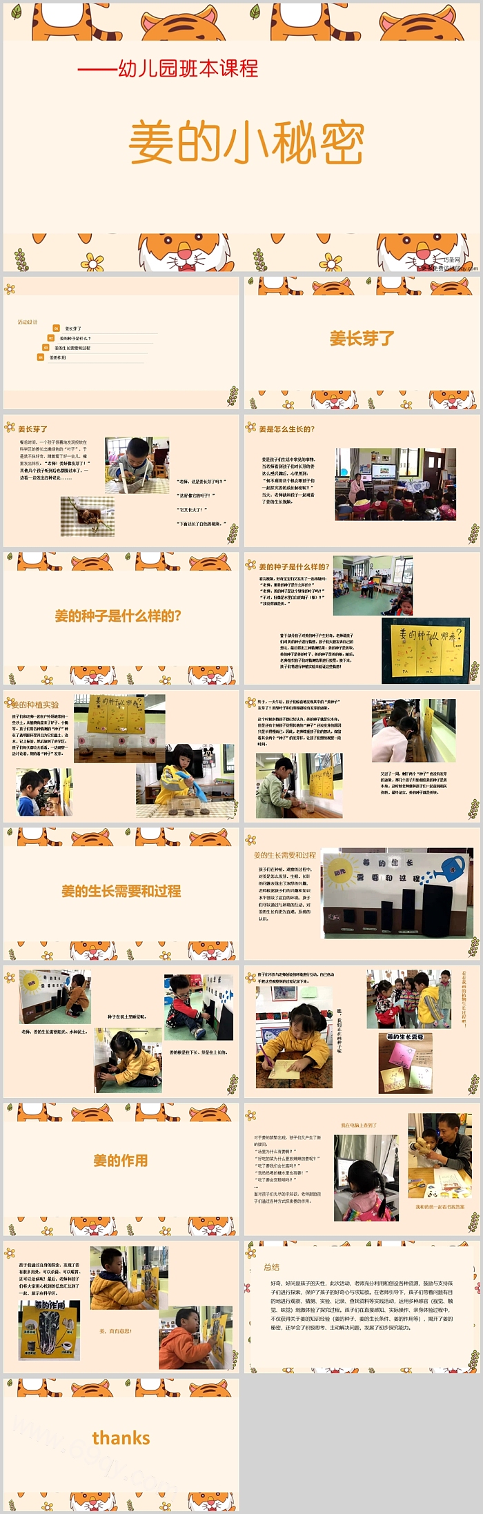 幼儿园中班班本课程《姜的小秘密》18页ppt课件（主题故事）