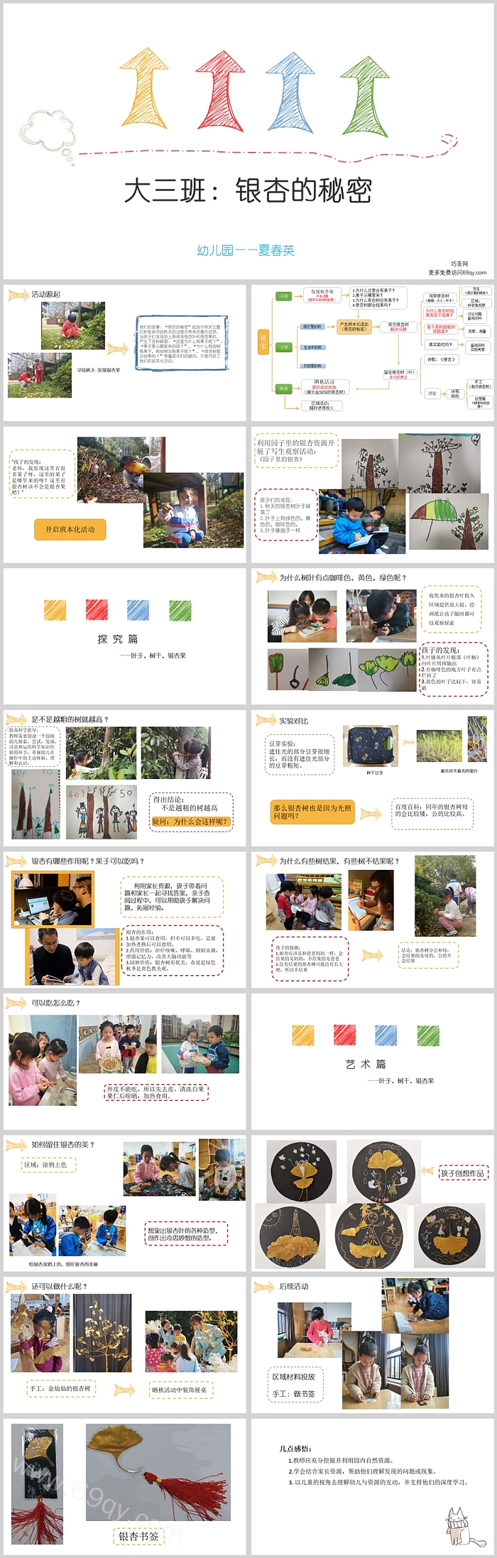 幼儿园大班课程故事《银杏的秘密》ppt课件