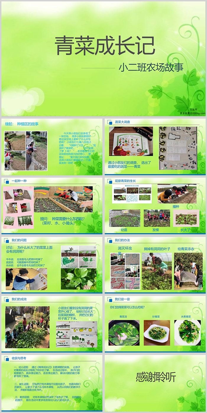 幼儿园班本课程《青菜成长记》ppt课件（过程观察）