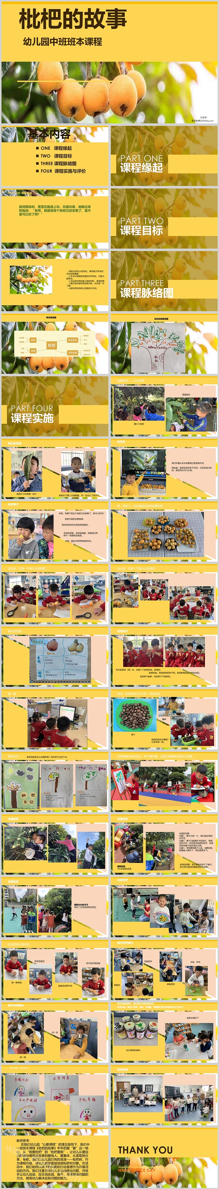 幼儿园中班班本课程《枇杷的故事》ppt课件（水果）