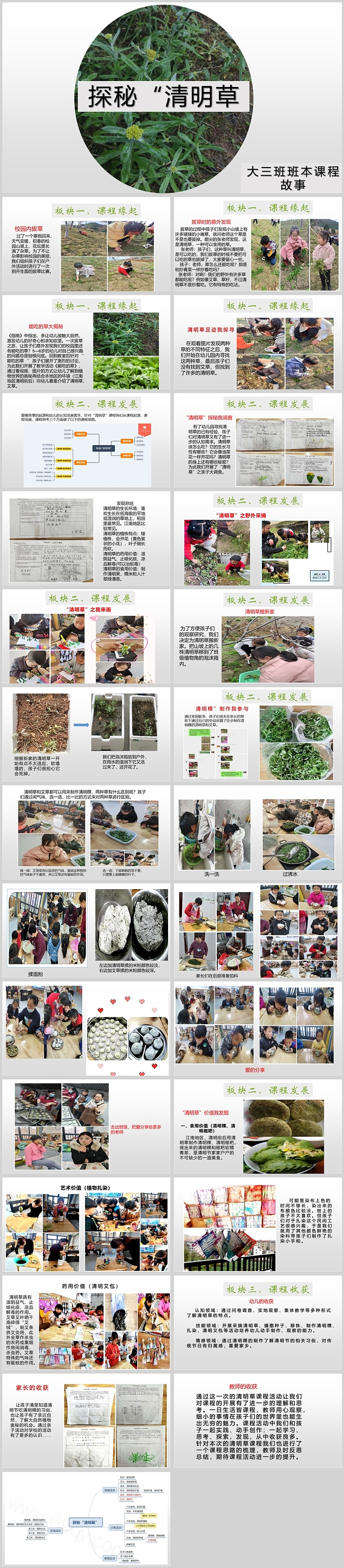 幼儿园班本课程故事《探秘清明草》ppt课件（健康教育）