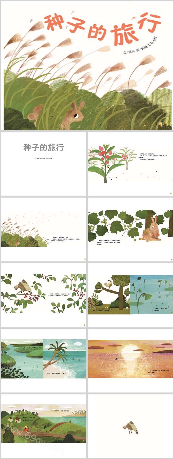 幼儿园科学领域《种子的旅行》课堂绘本故事ppt课件