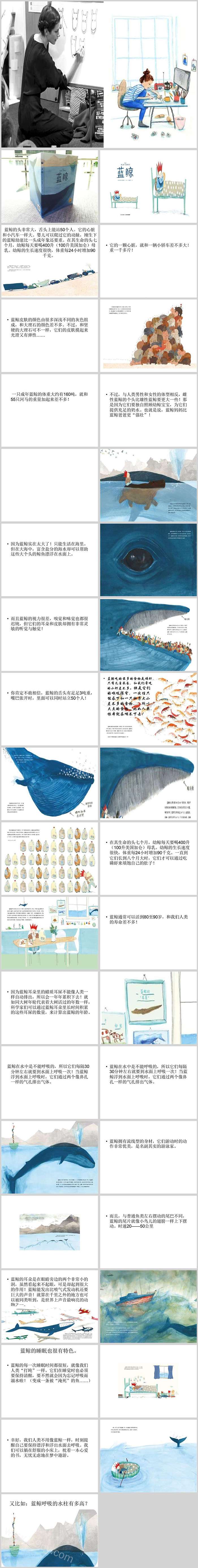 经典幼儿园中班科学《蓝鲸》绘本故事介绍ppt课件