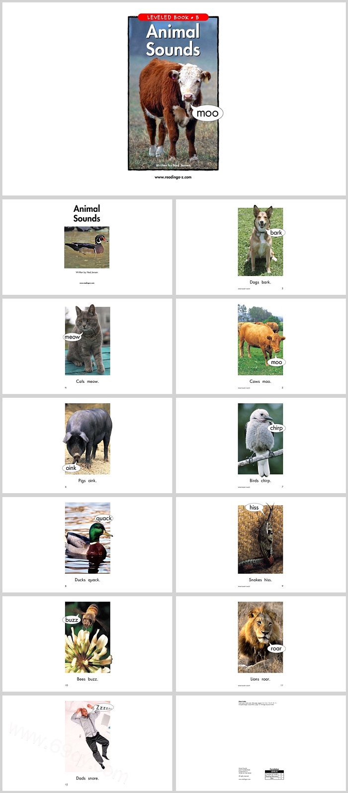 卡通高清儿童《Animal Sounds》英文绘本故事ppt课件（动物的叫声）