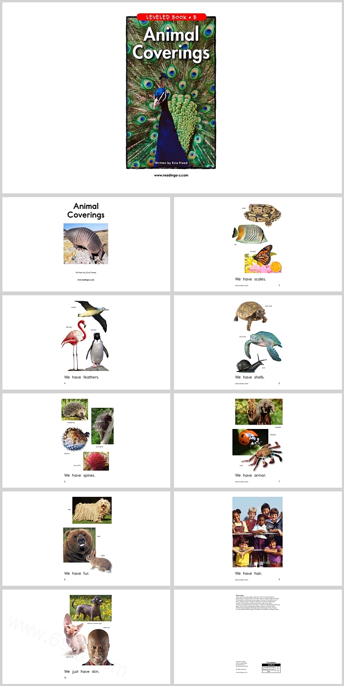 高清版幼儿卡通《Animal Coverings》英文绘本故事ppt课件（动物的皮肤）