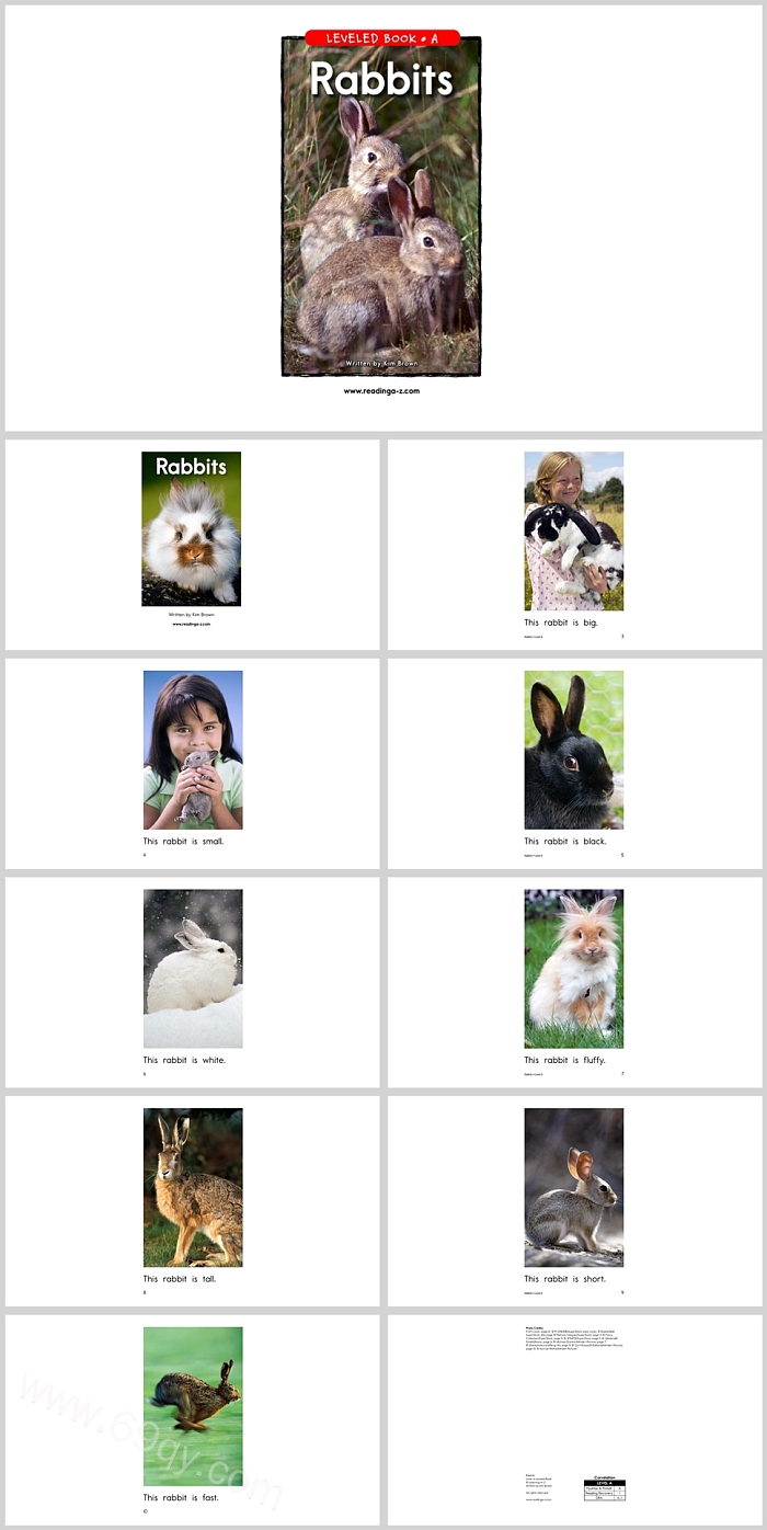 高清原版英语启蒙兔子《Rabbits》英文绘本故事ppt课件