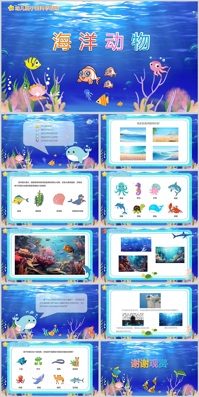 幼儿园科学介绍《海洋动物》绘本故事ppt课件