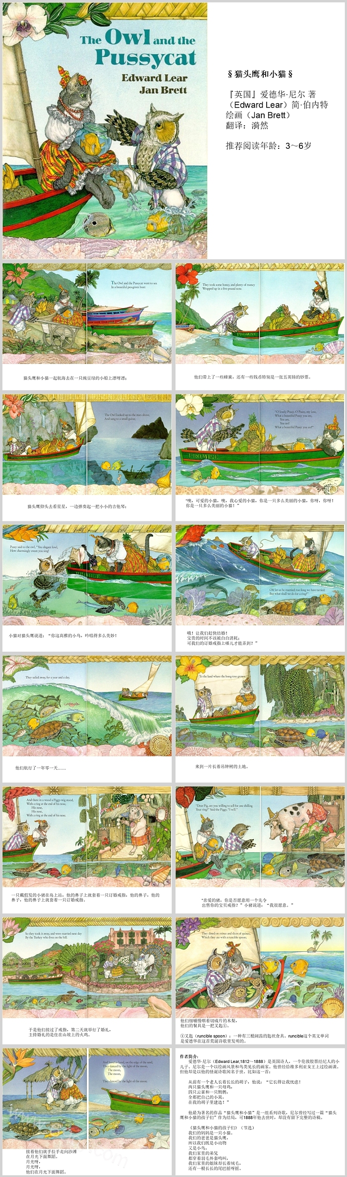 幼儿园儿童《猫头鹰和小猫》中英文双语绘本故事ppt课件