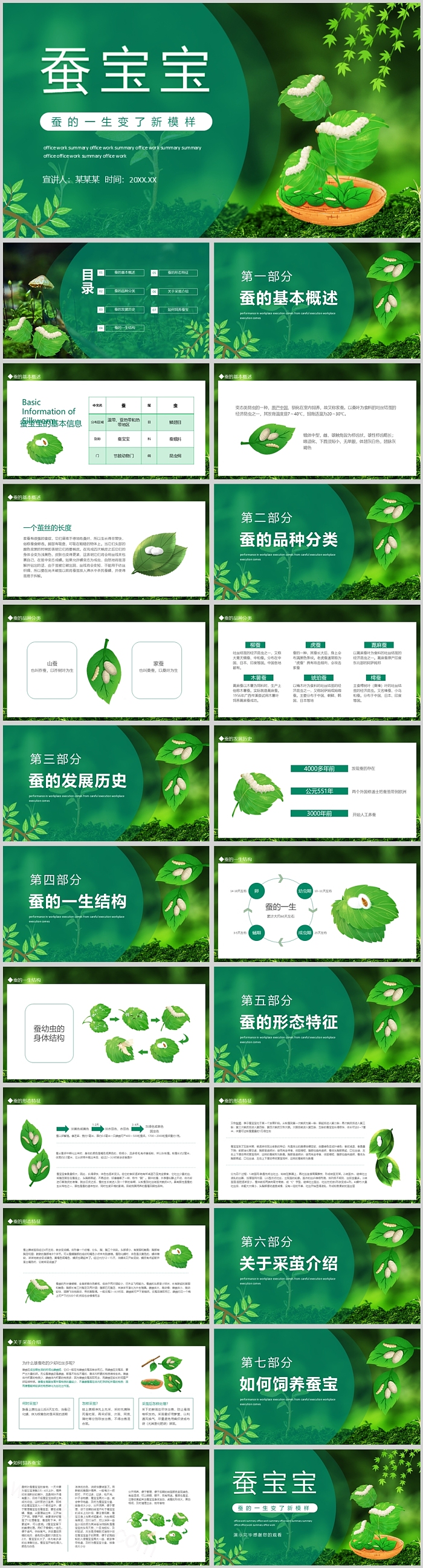 幼儿园大班班本课程《蚕宝宝蚕的一生》科学绘本故事ppt课件