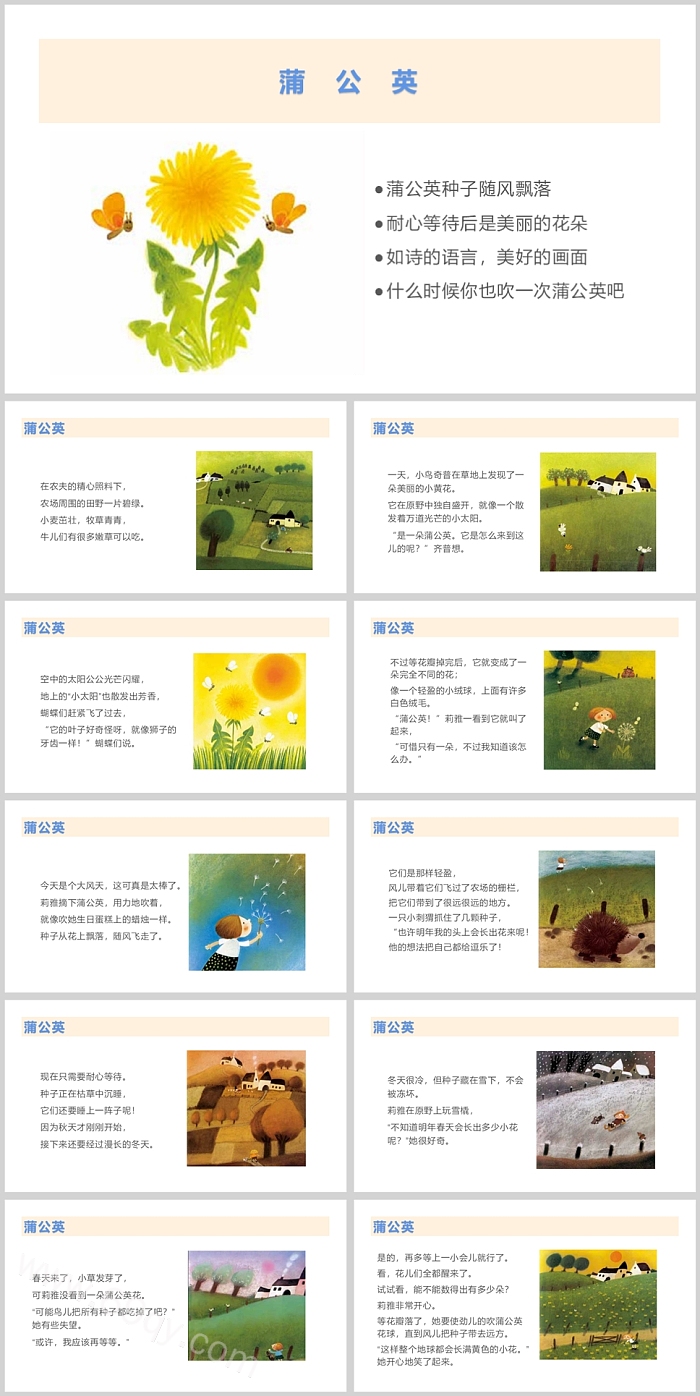 幼儿园一年级生命科普教育《蒲公英》绘本故事ppt课件