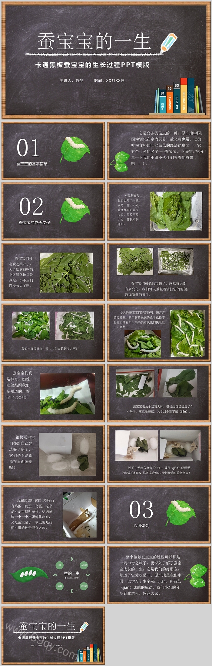 幼儿园科学教育《蚕宝宝的生长过程》绘本故事ppt课件（蚕的生长变化）
