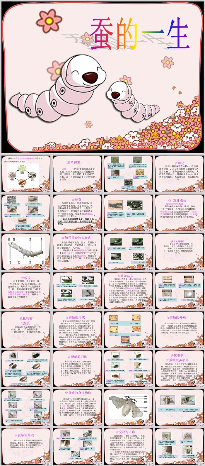卡通幼儿园科学教育《蚕的一生》绘本故事ppt课件