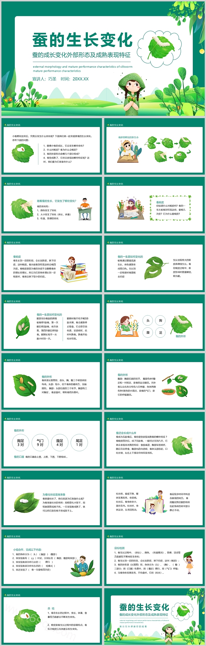 幼儿园大班科学《蚕的成长变化》班本课程绘本故事ppt课件