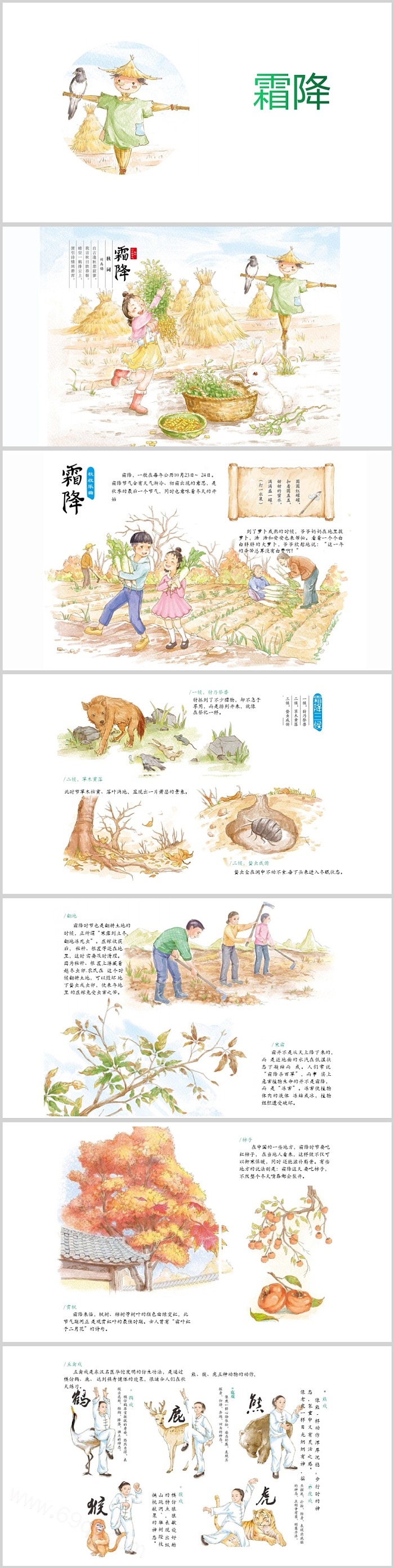 中国传统幼儿园二十四节气之《霜降》绘本故事ppt课件