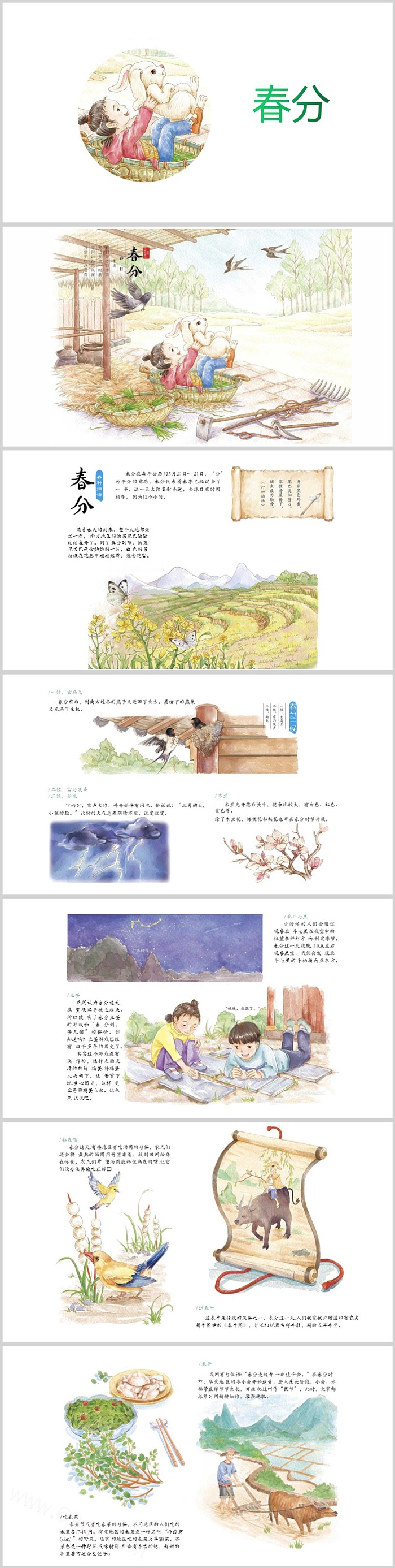 卡通幼儿园中班二十四节气之《春分》绘本故事ppt课件