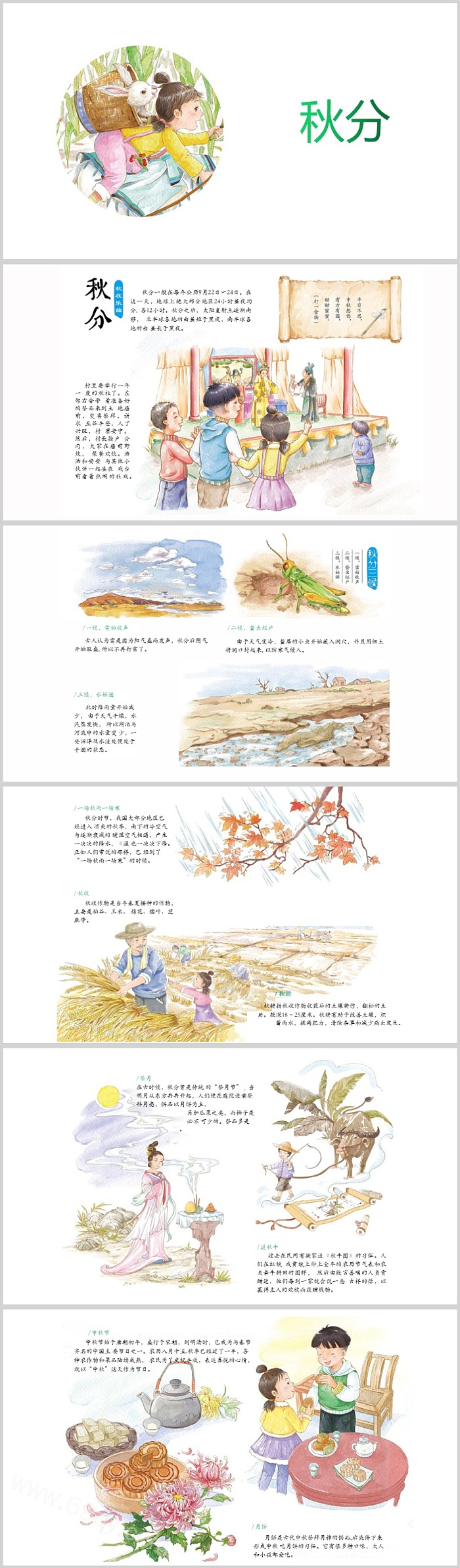 中国传统幼儿园二十四节气之《秋分》绘本故事ppt课件