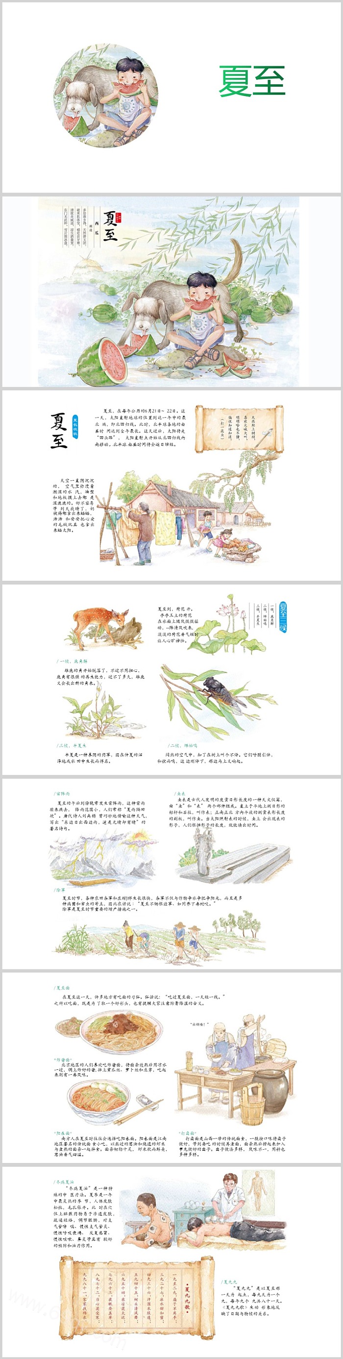 经典幼儿园中国传统二十四节气之《夏至》绘本故事ppt课件