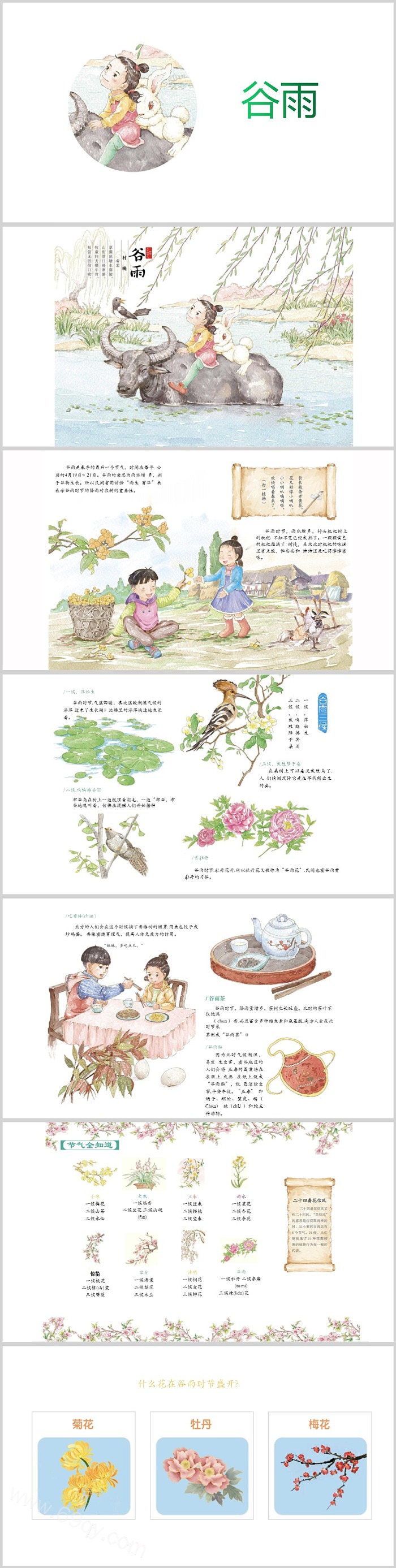 幼儿园中国传统二十四节气之《谷雨》绘本故事ppt课件（春季最后一个节气）